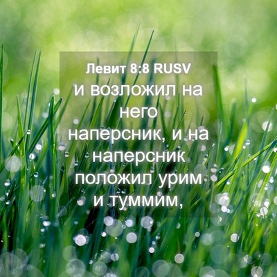 Picture 04 - Левит 8:8 RUSV - и возложил на него - Bible Verse Picture