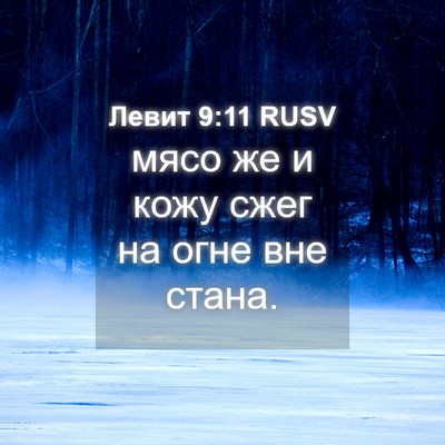 Picture 04 - Левит 9:11 RUSV - мясо же и кожу сжег на огне - Bible Verse Picture