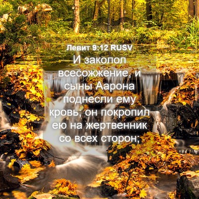 Picture 04 - Левит 9:12 RUSV - И заколол всесожжение, и - Bible Verse Picture