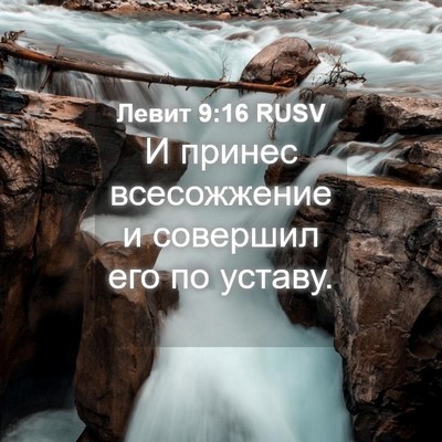 Picture 04 - Левит 9:16 RUSV - И принес всесожжение и - Bible Verse Picture