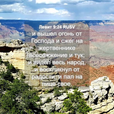 Picture 04 - Левит 9:24 RUSV - и вышел огонь от Господа и - Bible Verse Picture