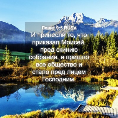 Picture 04 - Левит 9:5 RUSV - И принесли то, что приказал - Bible Verse Picture