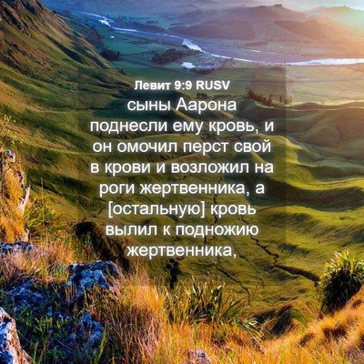 Picture 04 - Левит 9:9 RUSV - сыны Аарона поднесли ему - Bible Verse Picture