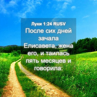 Picture 04 - Луки 1:24 RUSV - После сих дней зачала - Bible Verse Picture