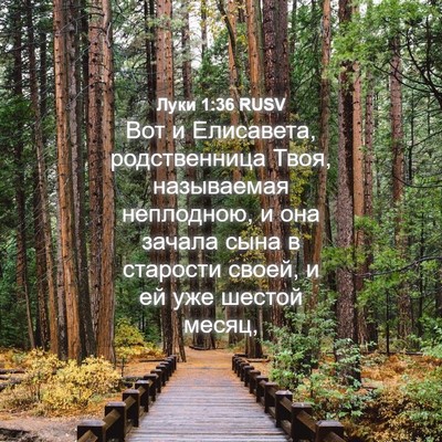 Picture 04 - Луки 1:36 RUSV - Вот и Елисавета, - Bible Verse Picture