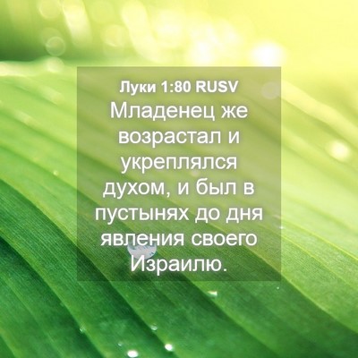 Picture 04 - Луки 1:80 RUSV - Младенец же возрастал и - Bible Verse Picture