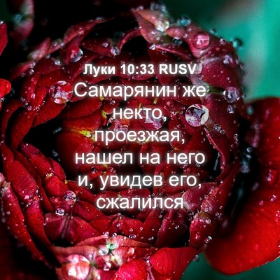 Picture 04 - Луки 10:33 RUSV - Самарянин же некто, - Bible Verse Picture