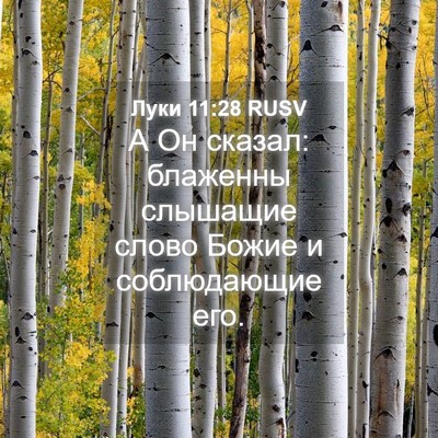 Picture 04 - Луки 11:28 RUSV - А Он сказал: блаженны - Bible Verse Picture