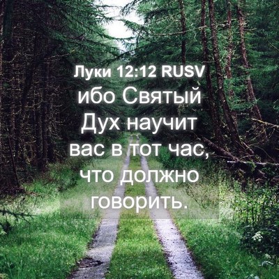 Picture 04 - Луки 12:12 RUSV - ибо Святый Дух научит вас в - Bible Verse Picture