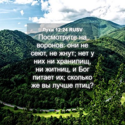 Picture 04 - Луки 12:24 RUSV - Посмотрите на воронов: они - Bible Verse Picture