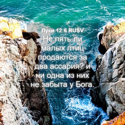 Picture 04 - Луки 12:6 RUSV - Не пять ли малых птиц - Bible Verse Picture