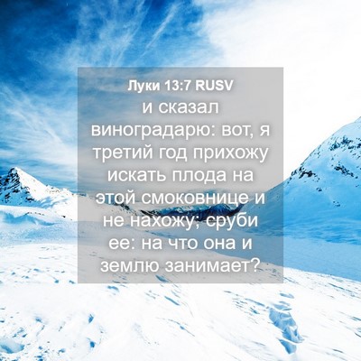 Picture 04 - Луки 13:7 RUSV - и сказал виноградарю: вот, - Bible Verse Picture