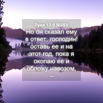 Picture 04 - Луки 13:8 RUSV - Но он сказал ему в ответ: - Bible Verse Picture