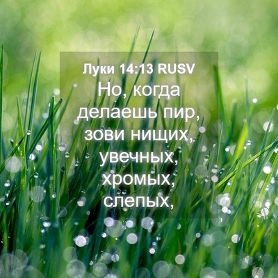 Picture 04 - Луки 14:13 RUSV - Но, когда делаешь пир, зови - Bible Verse Picture