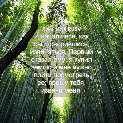 Picture 04 - Луки 14:18 RUSV - И начали все, как бы - Bible Verse Picture
