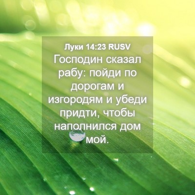 Picture 04 - Луки 14:23 RUSV - Господин сказал рабу: - Bible Verse Picture