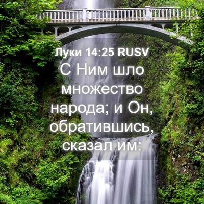 Picture 04 - Луки 14:25 RUSV - С Ним шло множество народа; - Bible Verse Picture