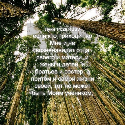 Picture 04 - Луки 14:26 RUSV - если кто приходит ко Мне и - Bible Verse Picture