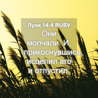 Picture 04 - Луки 14:4 RUSV - Они молчали. И, - Bible Verse Picture