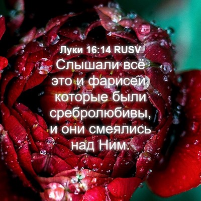 Picture 04 - Луки 16:14 RUSV - Слышали всё это и фарисеи, - Bible Verse Picture