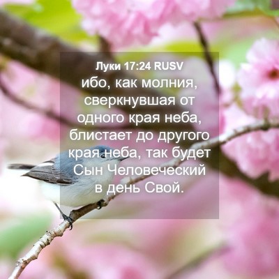 Picture 04 - Луки 17:24 RUSV - ибо, как молния, - Bible Verse Picture