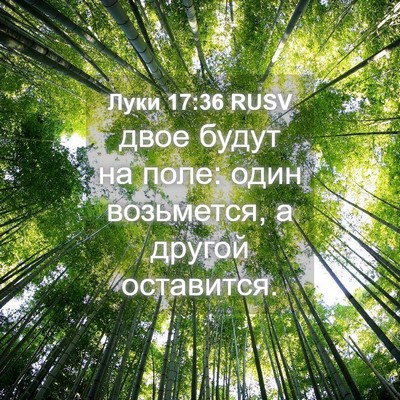Picture 04 - Луки 17:36 RUSV - двое будут на поле: один - Bible Verse Picture