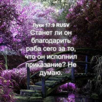 Picture 04 - Луки 17:9 RUSV - Станет ли он благодарить - Bible Verse Picture