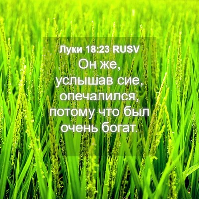 Picture 04 - Луки 18:23 RUSV - Он же, услышав сие, - Bible Verse Picture