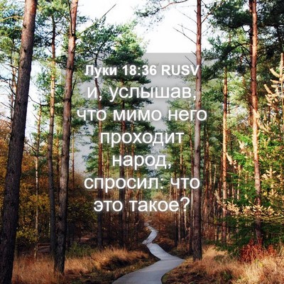 Picture 04 - Луки 18:36 RUSV - и, услышав, что мимо него - Bible Verse Picture