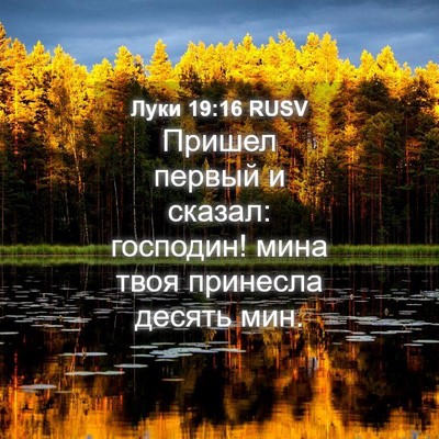 Picture 04 - Луки 19:16 RUSV - Пришел первый и сказал: - Bible Verse Picture