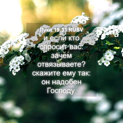 Picture 04 - Луки 19:31 RUSV - и если кто спросит вас: - Bible Verse Picture