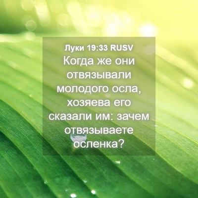 Picture 04 - Луки 19:33 RUSV - Когда же они отвязывали - Bible Verse Picture
