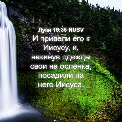 Picture 04 - Луки 19:35 RUSV - И привели его к Иисусу, и, - Bible Verse Picture