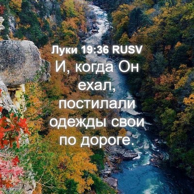 Picture 04 - Луки 19:36 RUSV - И, когда Он ехал, постилали - Bible Verse Picture