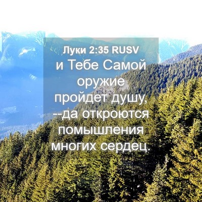 Picture 04 - Луки 2:35 RUSV - и Тебе Самой оружие - Bible Verse Picture