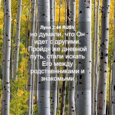 Picture 04 - Луки 2:44 RUSV - но думали, что Он идет с - Bible Verse Picture