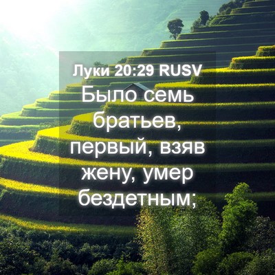 Picture 04 - Луки 20:29 RUSV - Было семь братьев, первый, - Bible Verse Picture