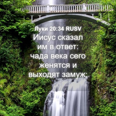 Picture 04 - Луки 20:34 RUSV - Иисус сказал им в ответ: - Bible Verse Picture