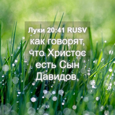 Picture 04 - Луки 20:41 RUSV - как говорят, что Христос - Bible Verse Picture