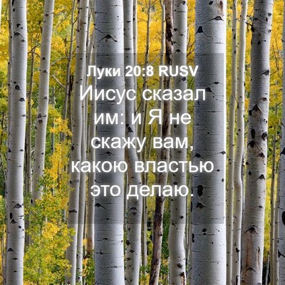 Picture 04 - Луки 20:8 RUSV - Иисус сказал им: и Я не - Bible Verse Picture