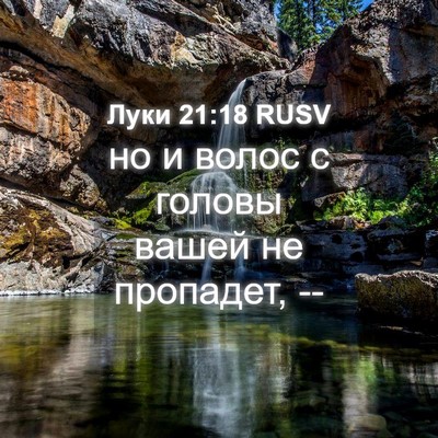Picture 04 - Луки 21:18 RUSV - но и волос с головы вашей - Bible Verse Picture