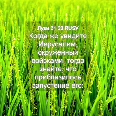 Picture 04 - Луки 21:20 RUSV - Когда же увидите - Bible Verse Picture