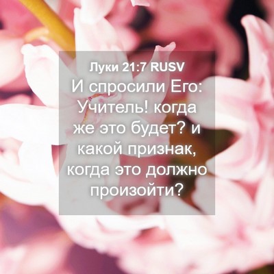 Picture 04 - Луки 21:7 RUSV - И спросили Его: Учитель! - Bible Verse Picture