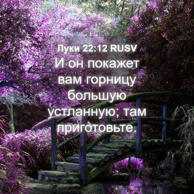 Picture 04 - Луки 22:12 RUSV - И он покажет вам горницу - Bible Verse Picture