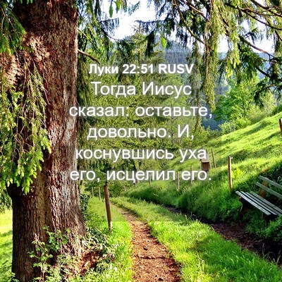 Picture 04 - Луки 22:51 RUSV - Тогда Иисус сказал: - Bible Verse Picture
