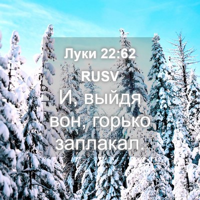 Picture 04 - Луки 22:62 RUSV - И, выйдя вон, горько - Bible Verse Picture