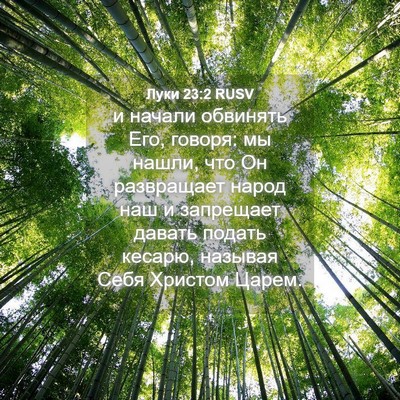 Picture 04 - Луки 23:2 RUSV - и начали обвинять Его, - Bible Verse Picture