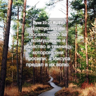 Picture 04 - Луки 23:25 RUSV - и отпустил им посаженного - Bible Verse Picture