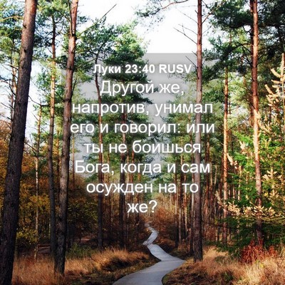 Picture 04 - Луки 23:40 RUSV - Другой же, напротив, унимал - Bible Verse Picture
