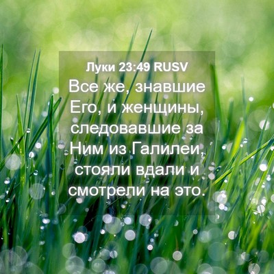 Picture 04 - Луки 23:49 RUSV - Все же, знавшие Его, и - Bible Verse Picture